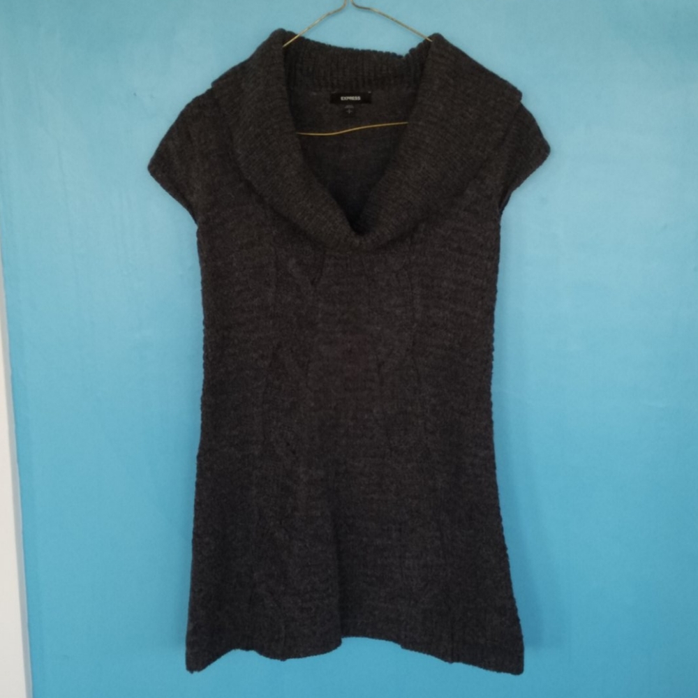 Express Short Sleeve Cowlneck Sweater